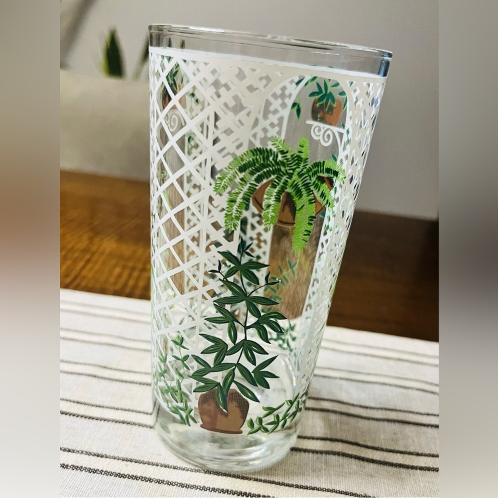 Vintage Cera White lattice ~ houseplants 🪴Highball drinking glass